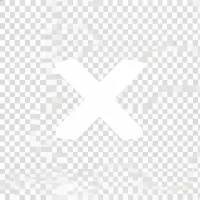X social